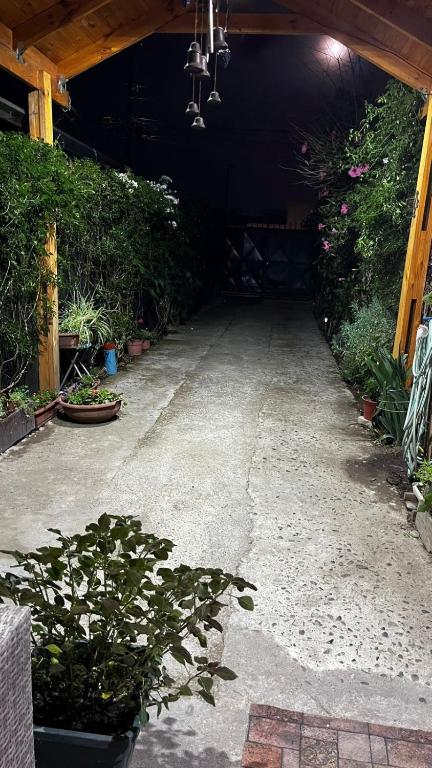Un jardín fuera de Hostal Hibisco
