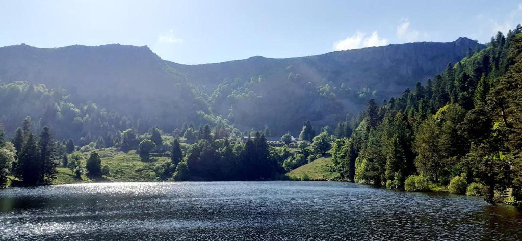 MUNSTER camping de la FECHT – photo 7
