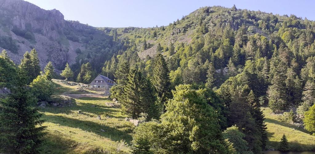 MUNSTER camping de la FECHT – photo 31