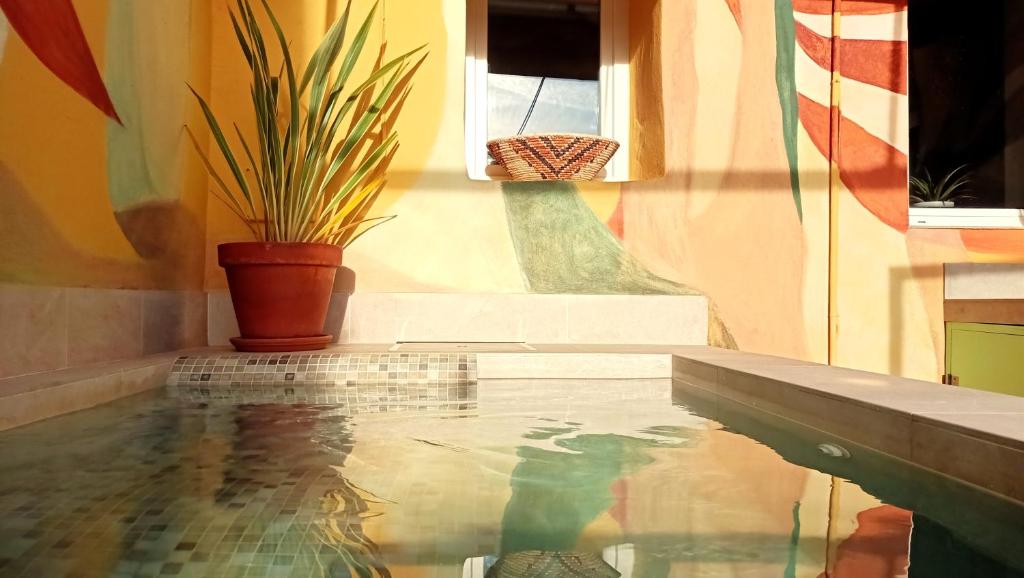 Una planta en maceta junto a una piscina. en Paradise Island House, en Ronda