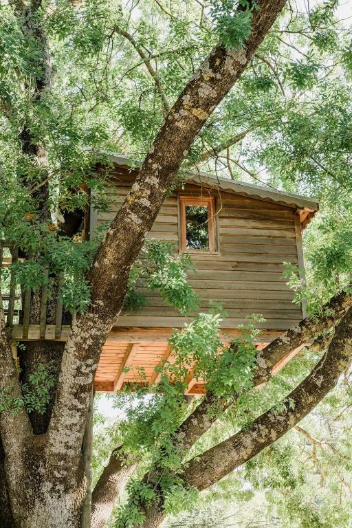 une cabane dans les arbres au milieu d'un arbre dans l'établissement Cabane Perchée avec Jacuzzi, au Coeur du Luberon, à Oppède