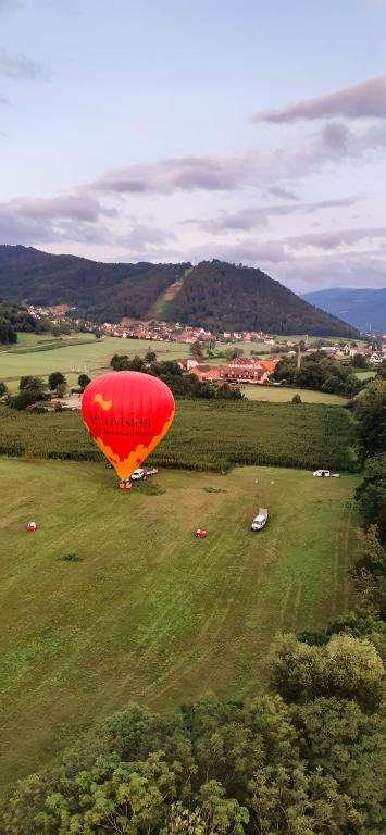 MUNSTER camping de la FECHT – photo 24