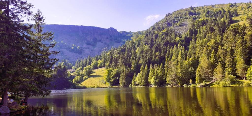 MUNSTER camping de la FECHT – photo 27