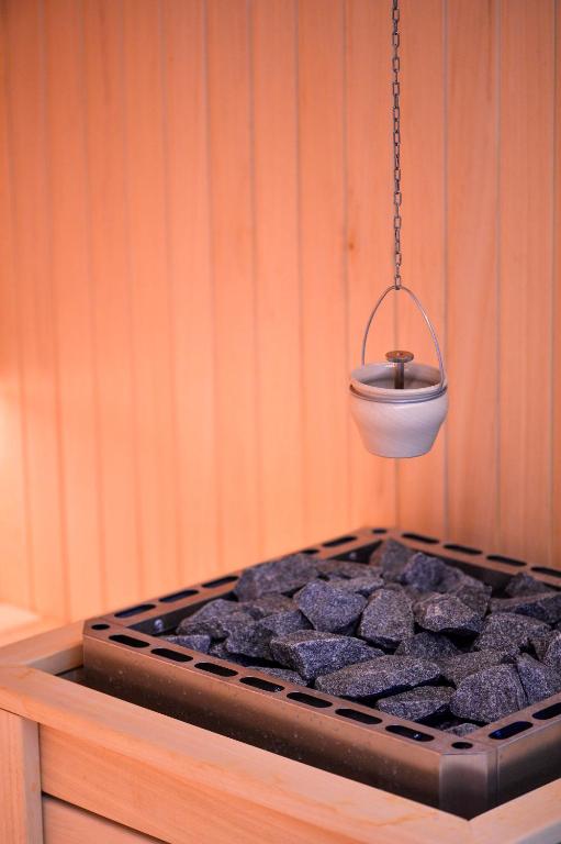 Vila Borova Wellness&SPA Resort - Resim 34