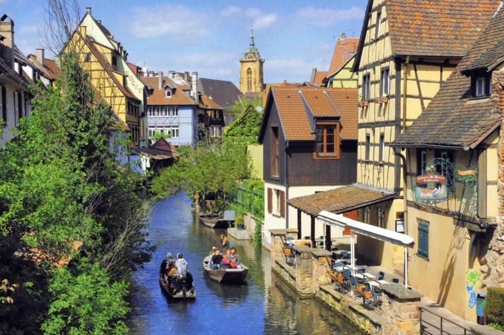 Confort et calme à Colmar – photo 17