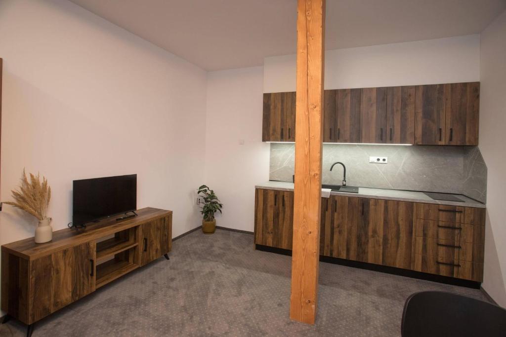 Kuchyň nebo kuchyňský kout v ubytování Wellness Hotel Zavadilka