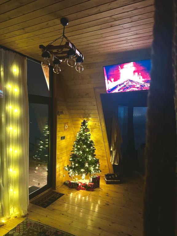 TV a/nebo společenská místnost v ubytování Vista cottage