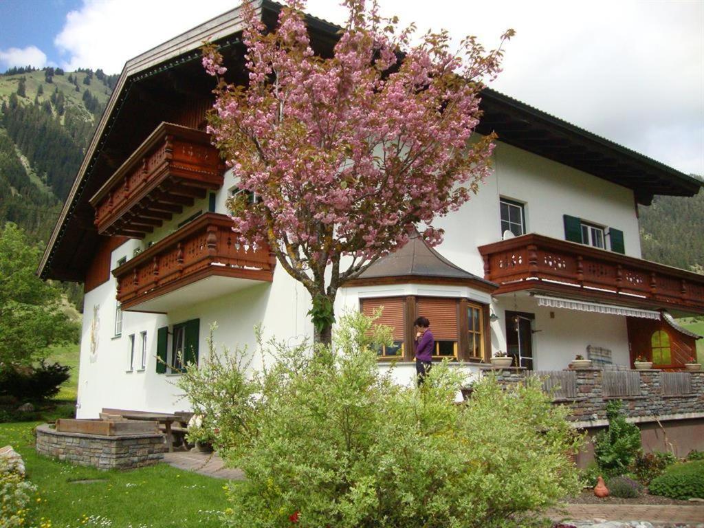 Príroda v okolí apartmánu
