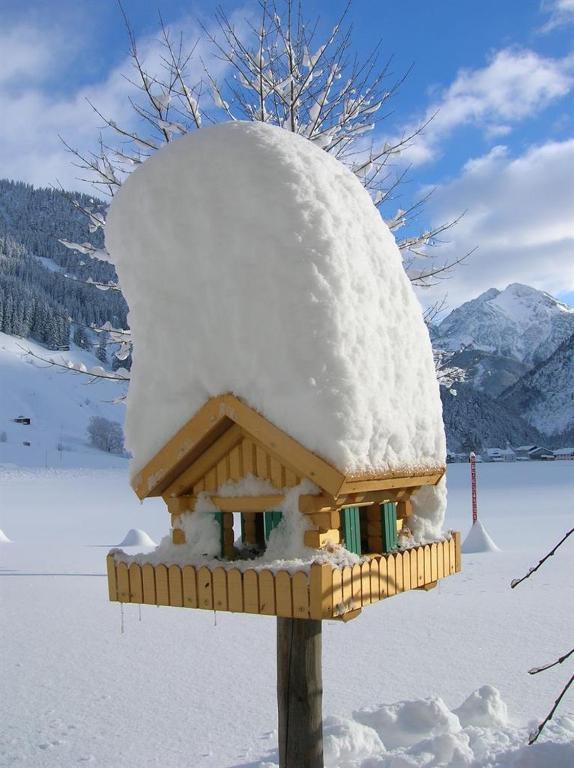 Gästehaus Auer v zime