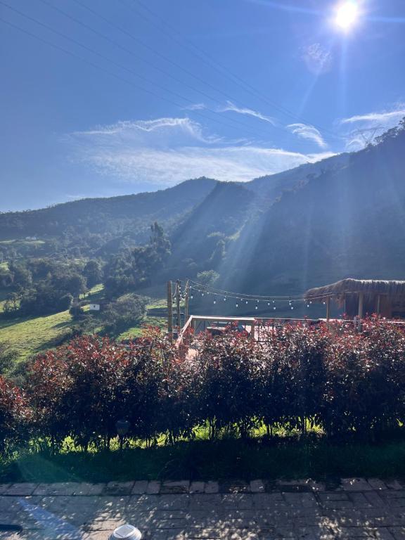 a view of a field of flowers and mountains at El Dorado Refugio Muisca in Guatavita