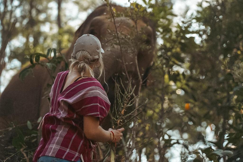 Stamps Backpackers - 13