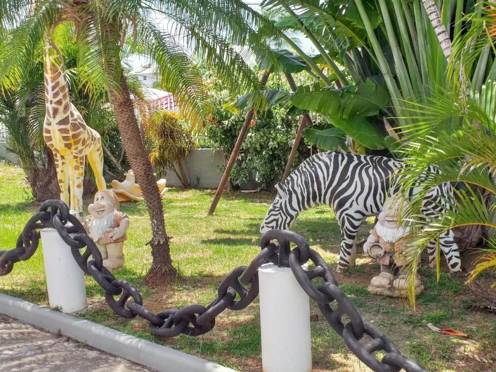 a zebra and a giraffe in a zoo at Appartement accueillant à Sainte-Anne – 60 m² avec piscine in Sainte-Anne