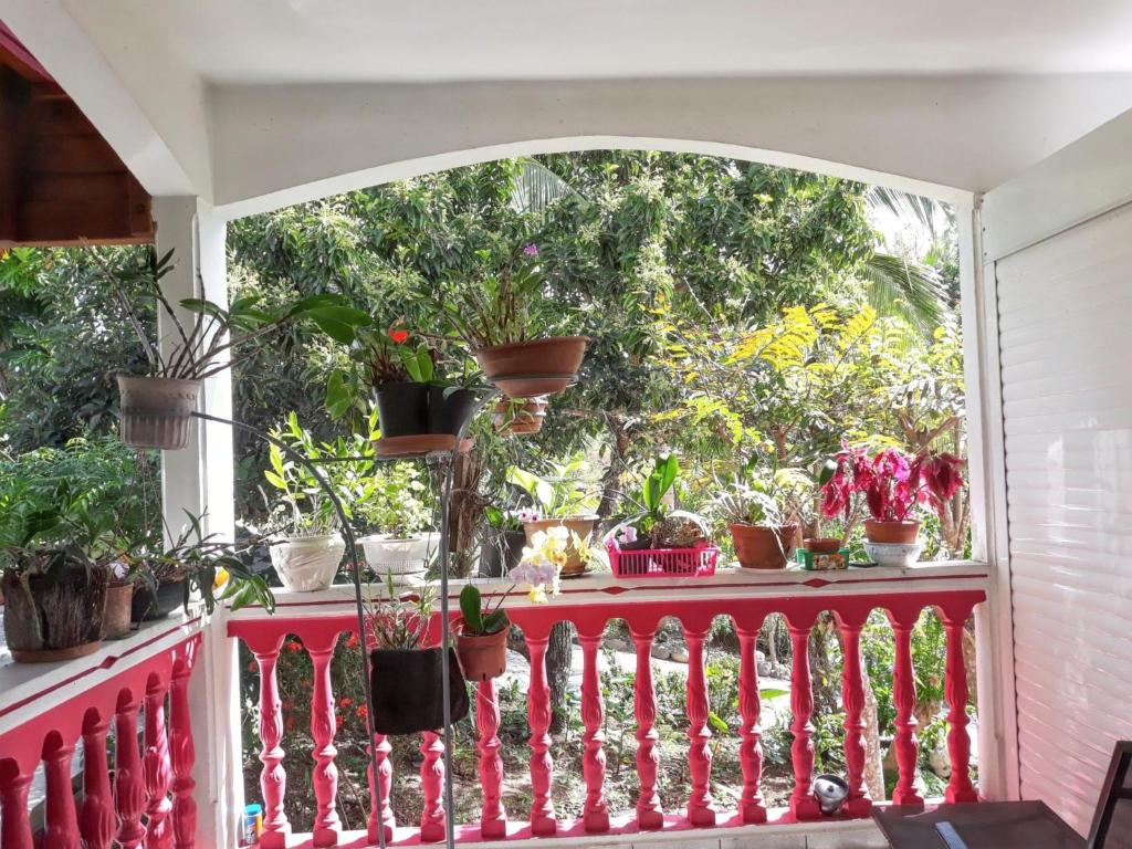 En balkon eller terrasse på Appartement lumineux aux Abymes, 56 m², terrasse et parking