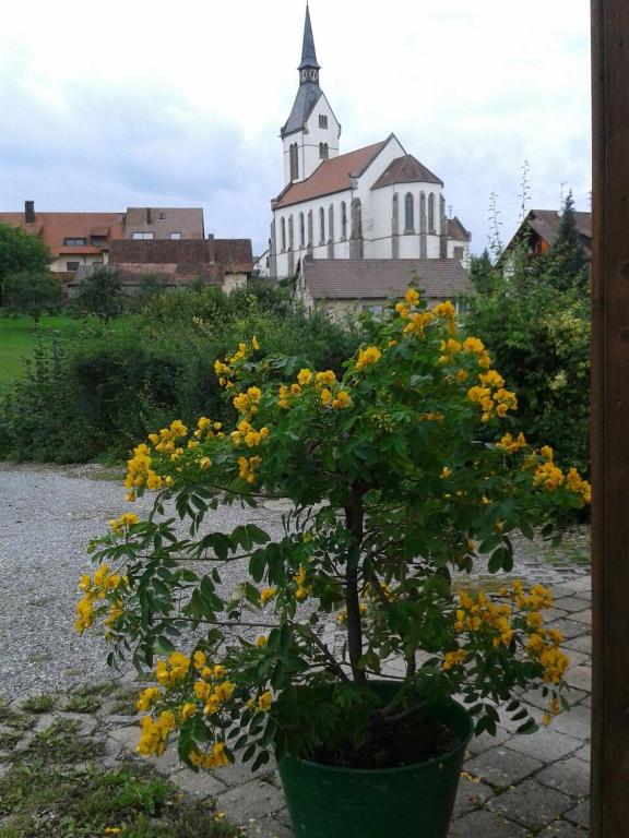 Zahrada ubytování Ferienhaus Keller