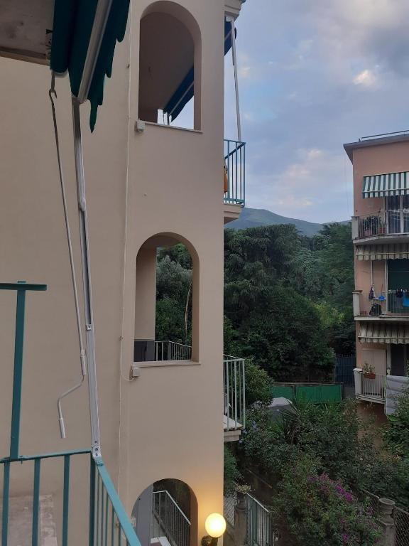 山景或在公寓看到的山景