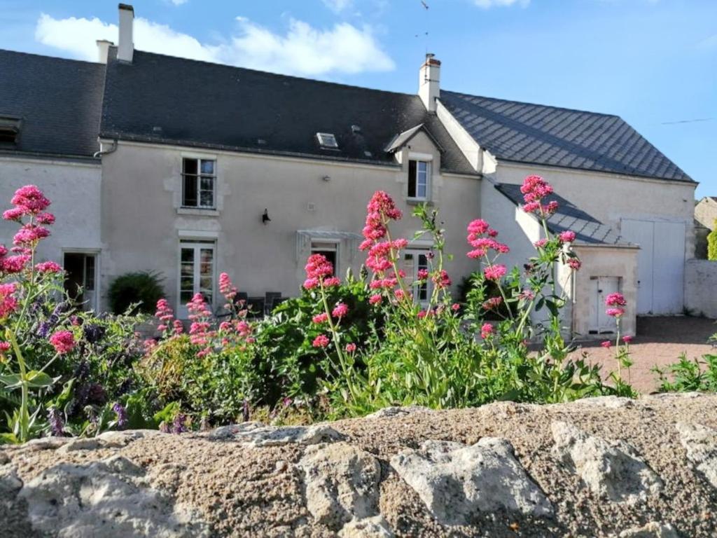 Vonkajšia záhrada v ubytovaní Maison charmante à La Chapelle-Saint-Martin-en-Plaine avec jardin