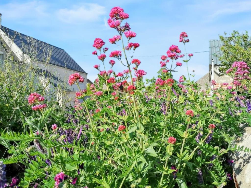 Vonkajšia záhrada v ubytovaní Maison charmante à La Chapelle-Saint-Martin-en-Plaine avec jardin