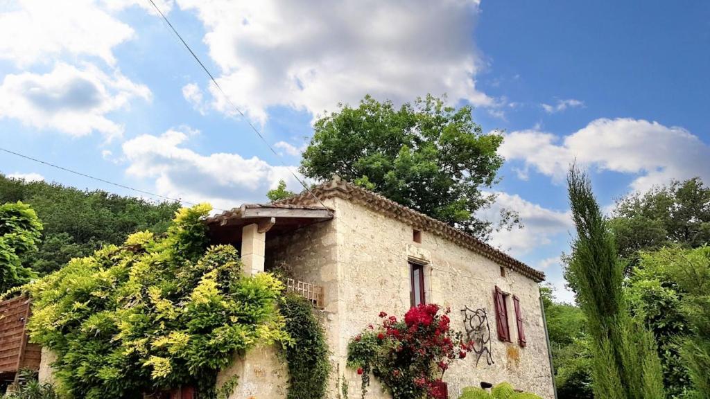 Zahrada ubytování Maison charmante à Sauveterre avec piscine privée