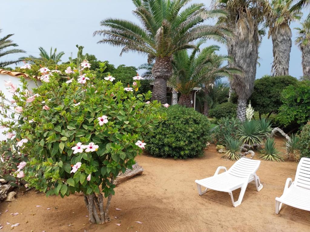 Zahrada ubytování Villa delle palme