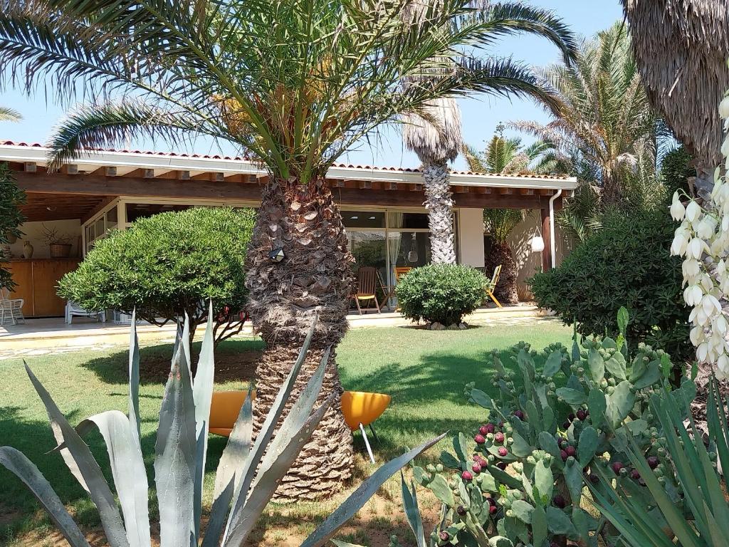 Zahrada ubytování Villa delle palme