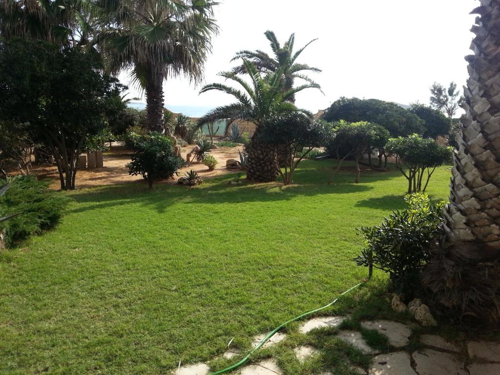 Zahrada ubytování Villa delle palme