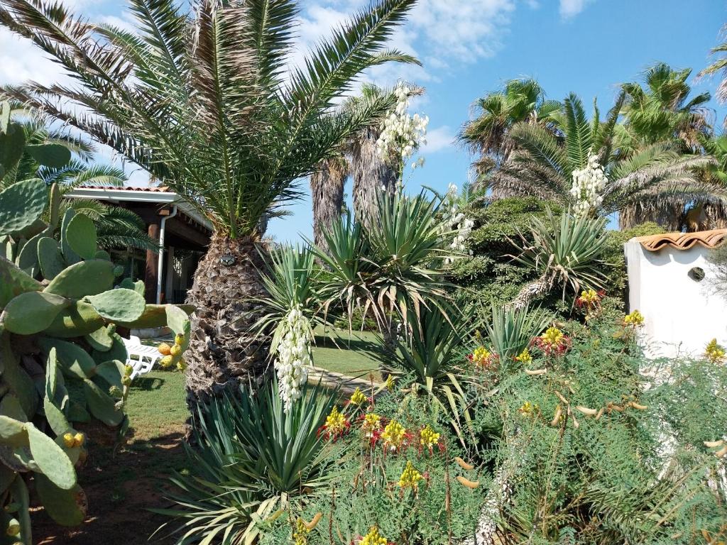 Zahrada ubytování Villa delle palme