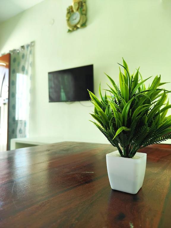 TV a/nebo společenská místnost v ubytování Shivam Eden Beach Homestay