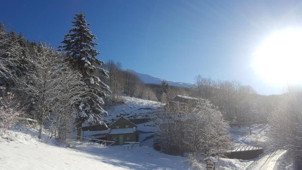 Il Borgo Dei Celti - Chalet