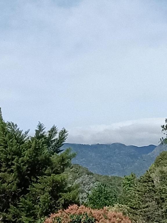 a view of trees and mountains with a cloudy sky at Hostal Vista Boquete in Bajo Boquete