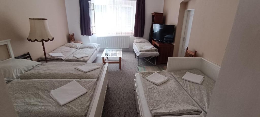 Postel nebo postele na pokoji v ubytování Apartmán Horní Slavkov Hodinářství