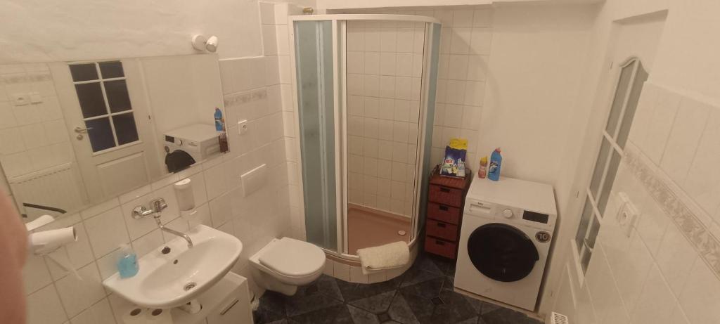 Koupelna v ubytování Apartmán Horní Slavkov Hodinářství