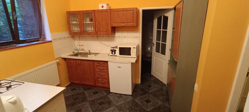 Kuchyň nebo kuchyňský kout v ubytování Apartmán Horní Slavkov Hodinářství