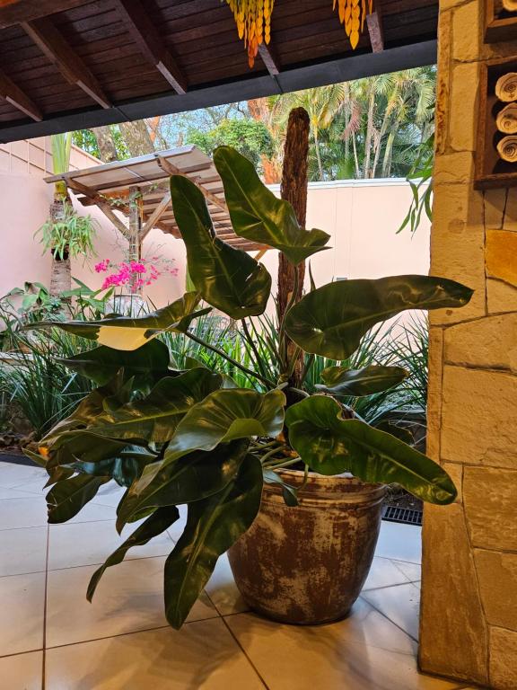 Vrt pred nastanitvijo Casa Garay Hotel 658