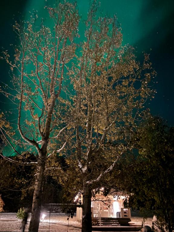 Fotografie z fotogalerie ubytování Laugar Guesthouse v destinaci Laugar