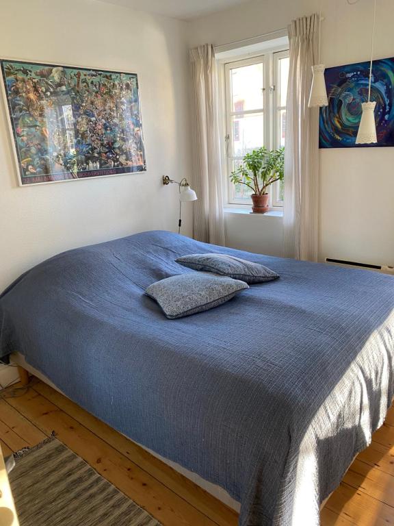 Vidunderligt hus på smukke Nyord