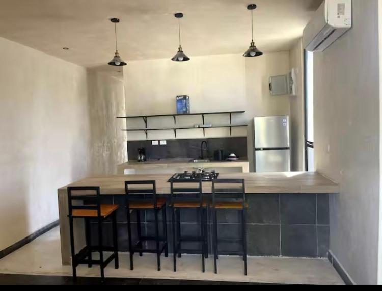 Kuchyň nebo kuchyňský kout v ubytování Villa Colibries Chelem