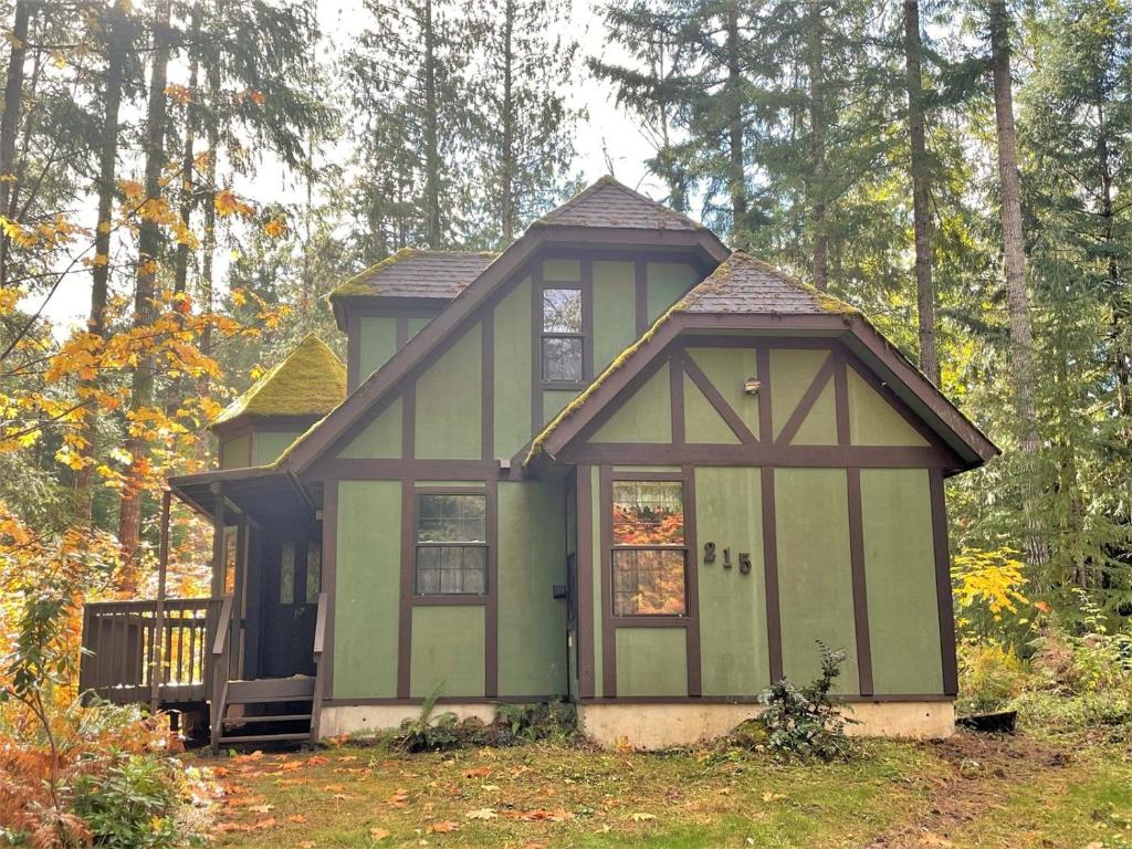 a small green house in the middle of a forest at Mossy Moose Cabin | Near White Pass & Mt Rainier in Packwood