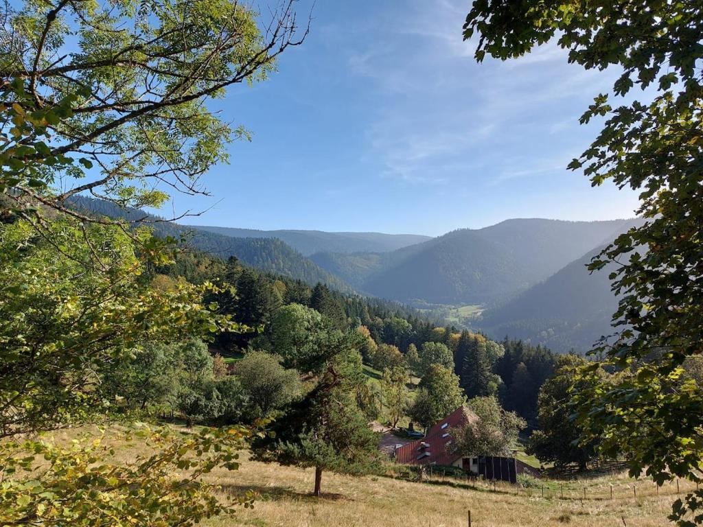 - une vue sur une vallée avec des montagnes au loin dans l'établissement Appartement rez-de-chaussée dans vielle ferme au coeur des Vosges, à Plainfaing