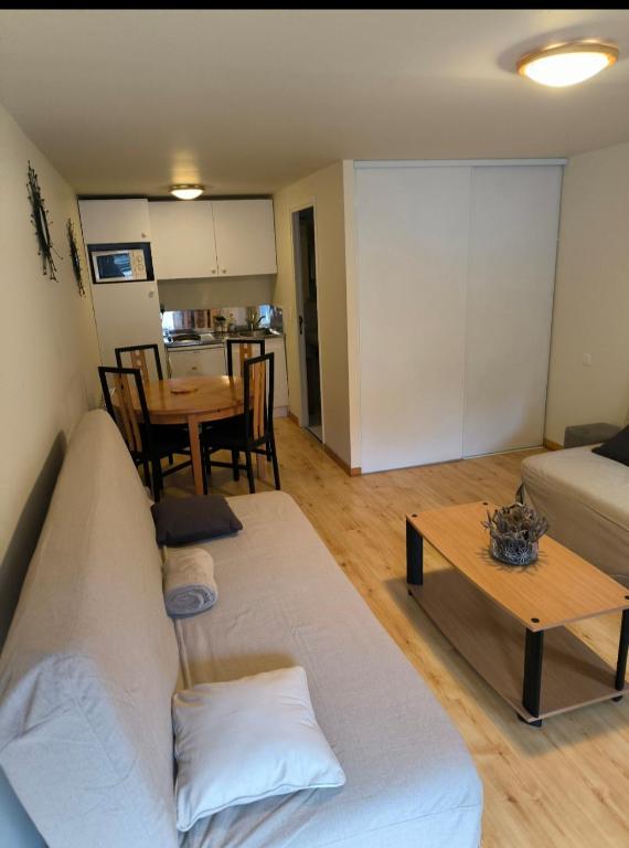 un salon avec un canapé et une table dans l'établissement Charmant studio à St Martin Vésubie au calme, à Saint-Martin-Vésubie