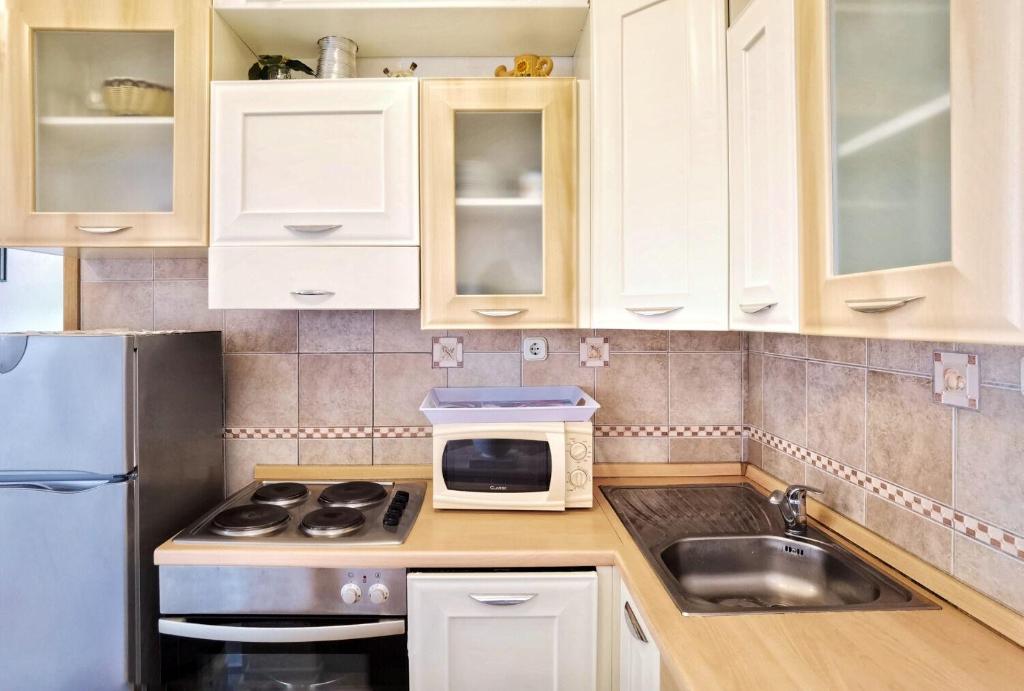Kuchyňa alebo kuchynka v ubytovaní Apartments Branka