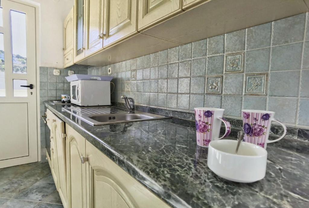 Kuchyňa alebo kuchynka v ubytovaní Apartments Branka