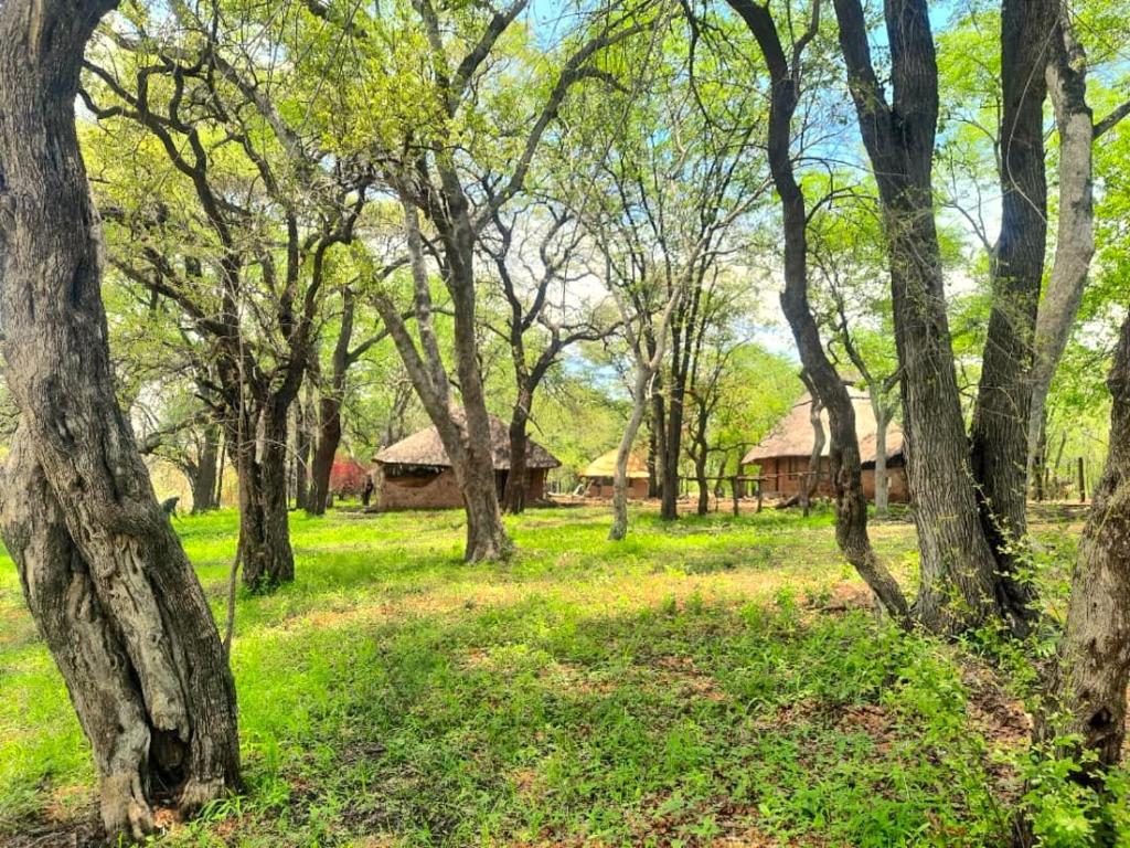 Vườn quanh River Range Camp