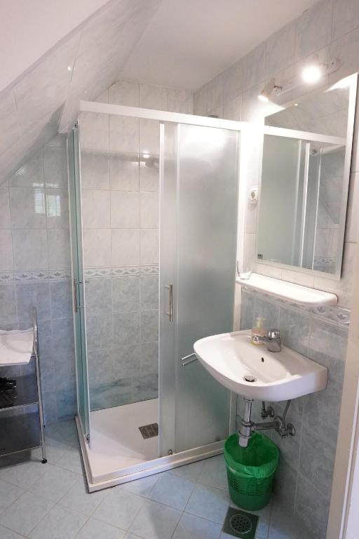 Koupelna v ubytování Sobe in apartmaji Pri Ukcu Bohinj