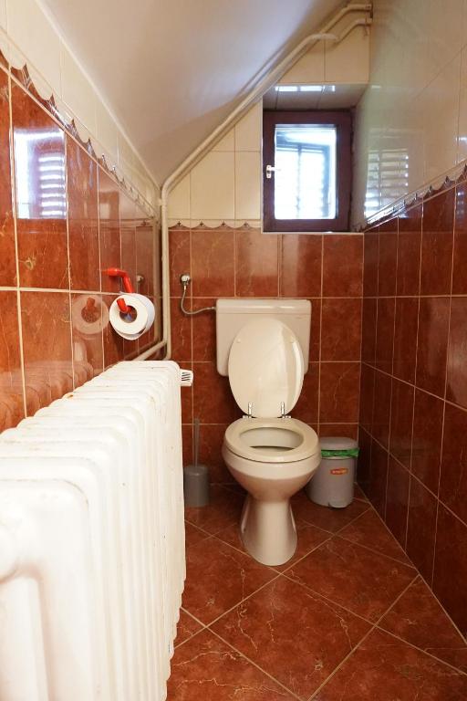 Koupelna v ubytování Sobe in apartmaji Pri Ukcu Bohinj