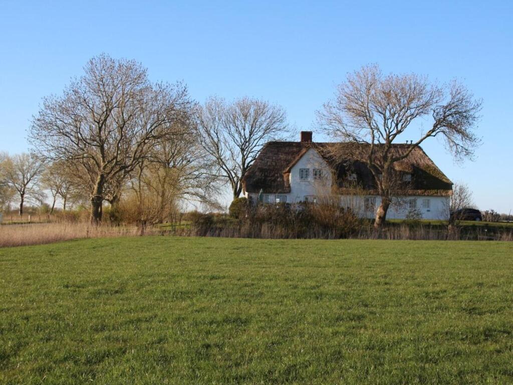 OsterheverにあるPoppenbüll thatched houseの大白屋敷