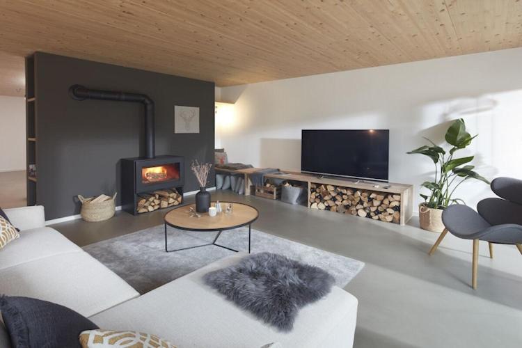 TV a/nebo společenská místnost v ubytování Holiday home Chalet 48