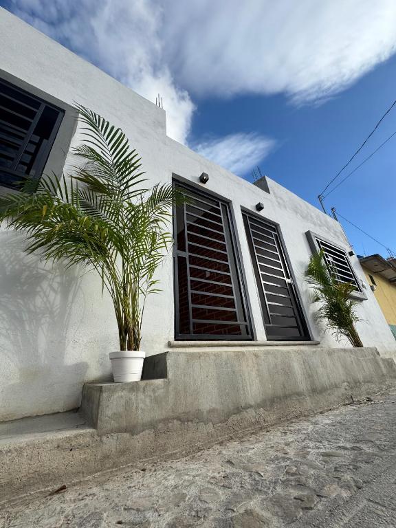 a white house with two windows and a plant at Casas Victoria in San Cristóbal de Las Casas