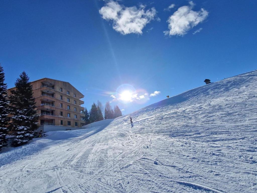 Sonnenalpe Nassfeld Bergblume v zimě