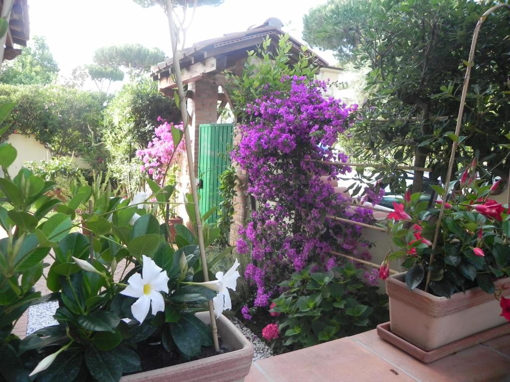 A garden outside Villa Il Fortino