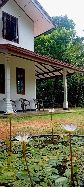 Zahrada ubytování EcoBliss Villa